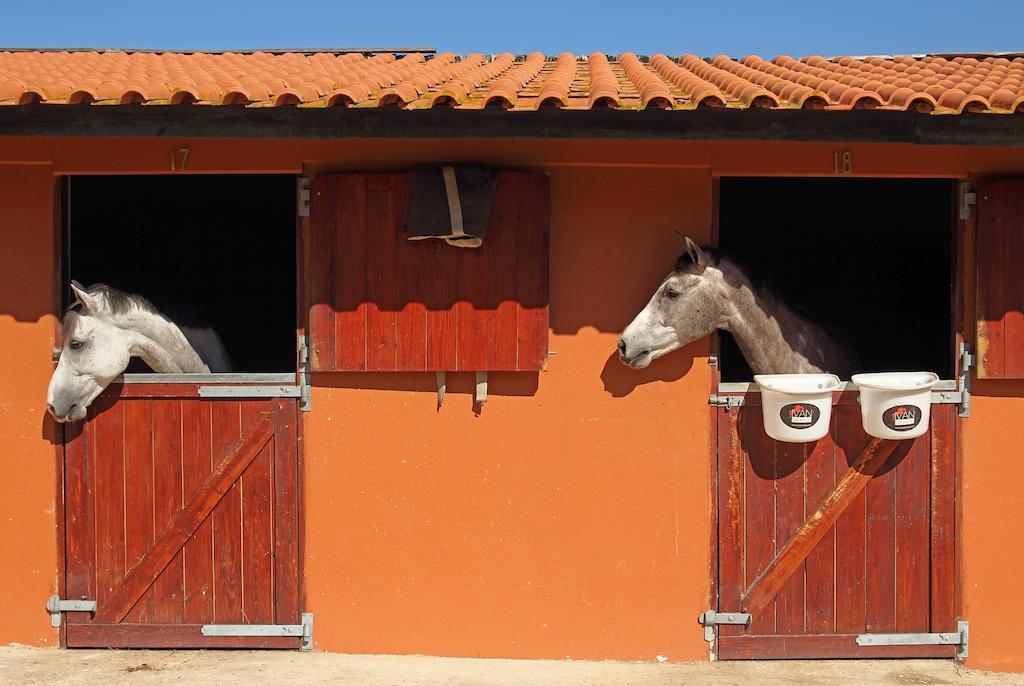 Quinta Da Bicuda Villa กาชไกช์ ภายนอก รูปภาพ